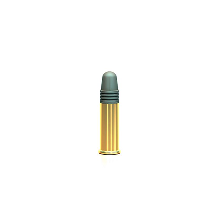 Magtech 22 LR 40GR LRN SV - 300 bullets per CAN