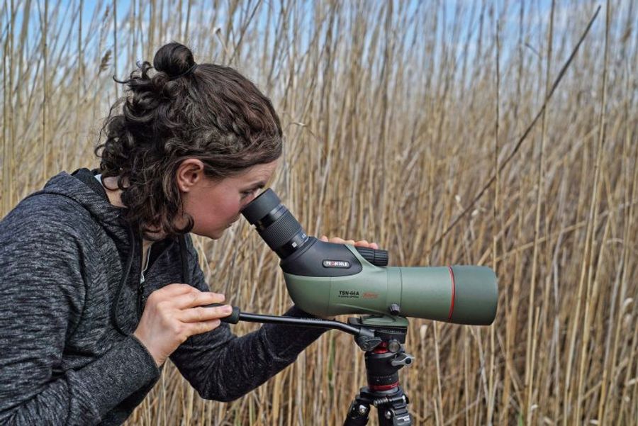 Kowa TSN-66 Straight 66mm Spotting Scope with Zoom 25-60 Eyepiece