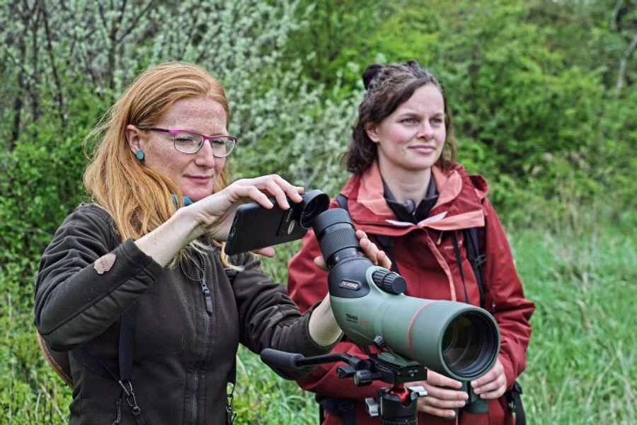 Kowa TSN-66 Straight 66mm Spotting Scope with Zoom 25-60 Eyepiece