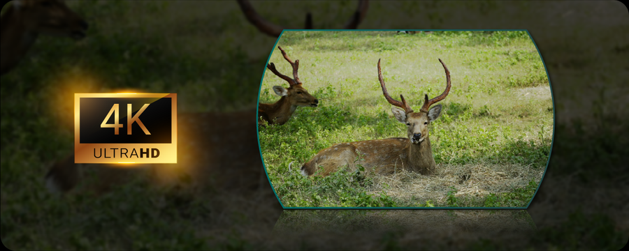 Pixfra Draco illumination 850nm IR Module