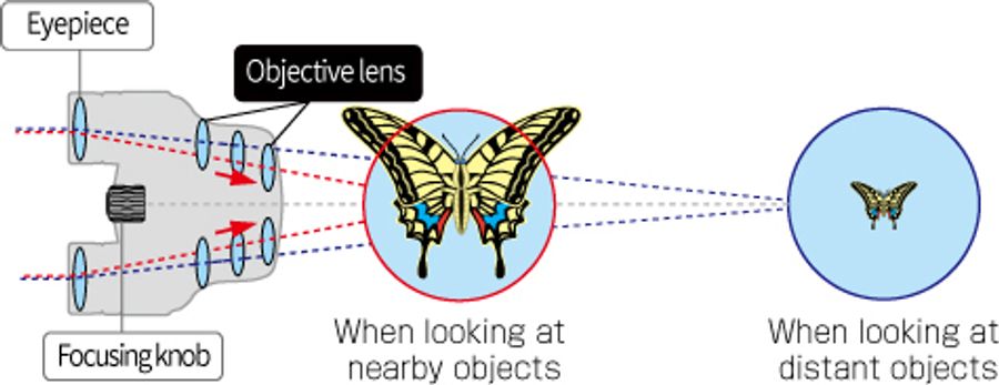 Pentax Papilio III 6.5x21 WR Black Binoculars