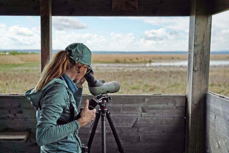 Kowa TSN-66 Straight 66mm Spotting Scope with Zoom 25-60x Eyepiece